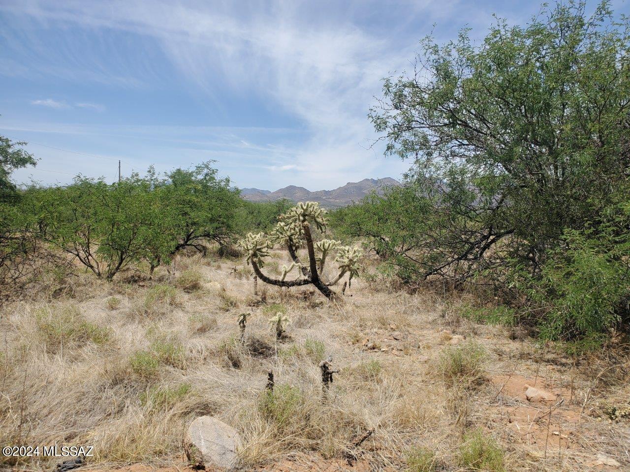 Rio Rico Estates 16 - Land