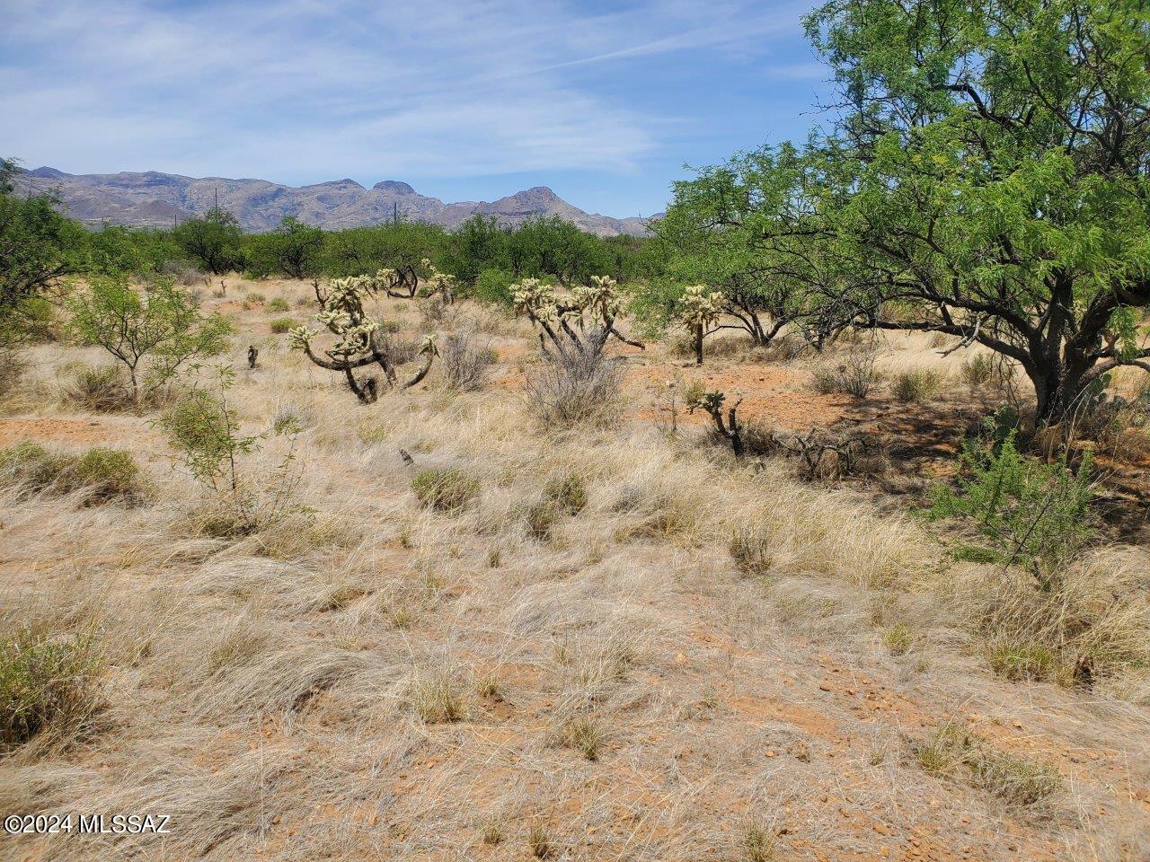 Rio Rico Estates 16 - Land