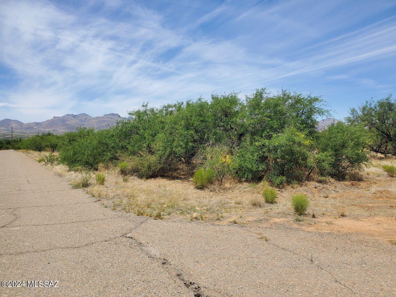Rio Rico Estates 16 - Land