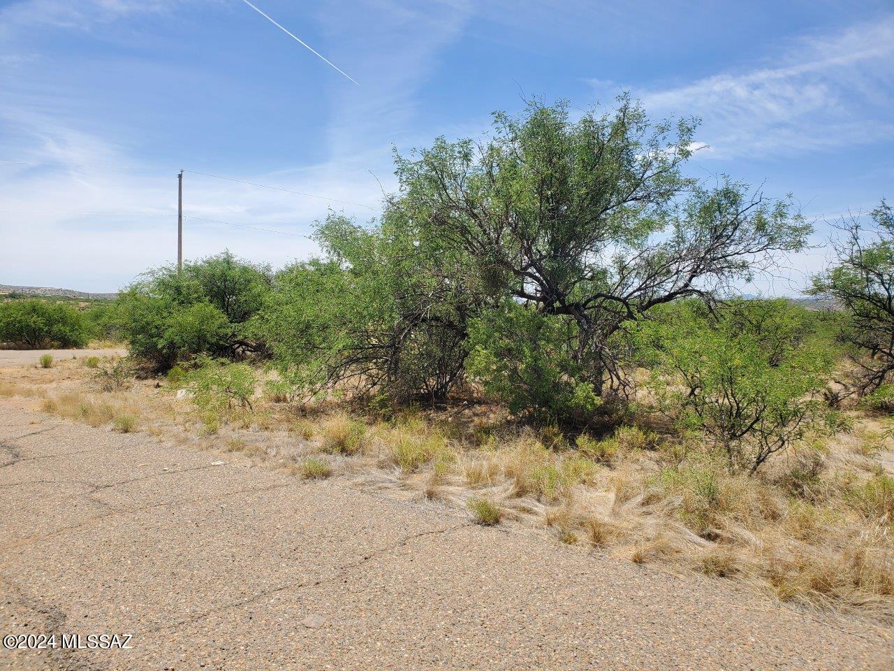 Rio Rico Estates 16 - Land