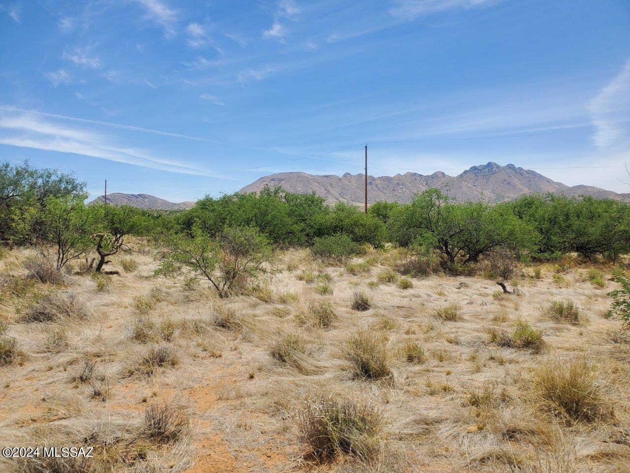 Rio Rico Estates 16 - Land