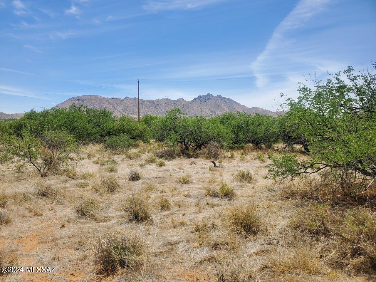 Rio Rico Estates 16 - Land