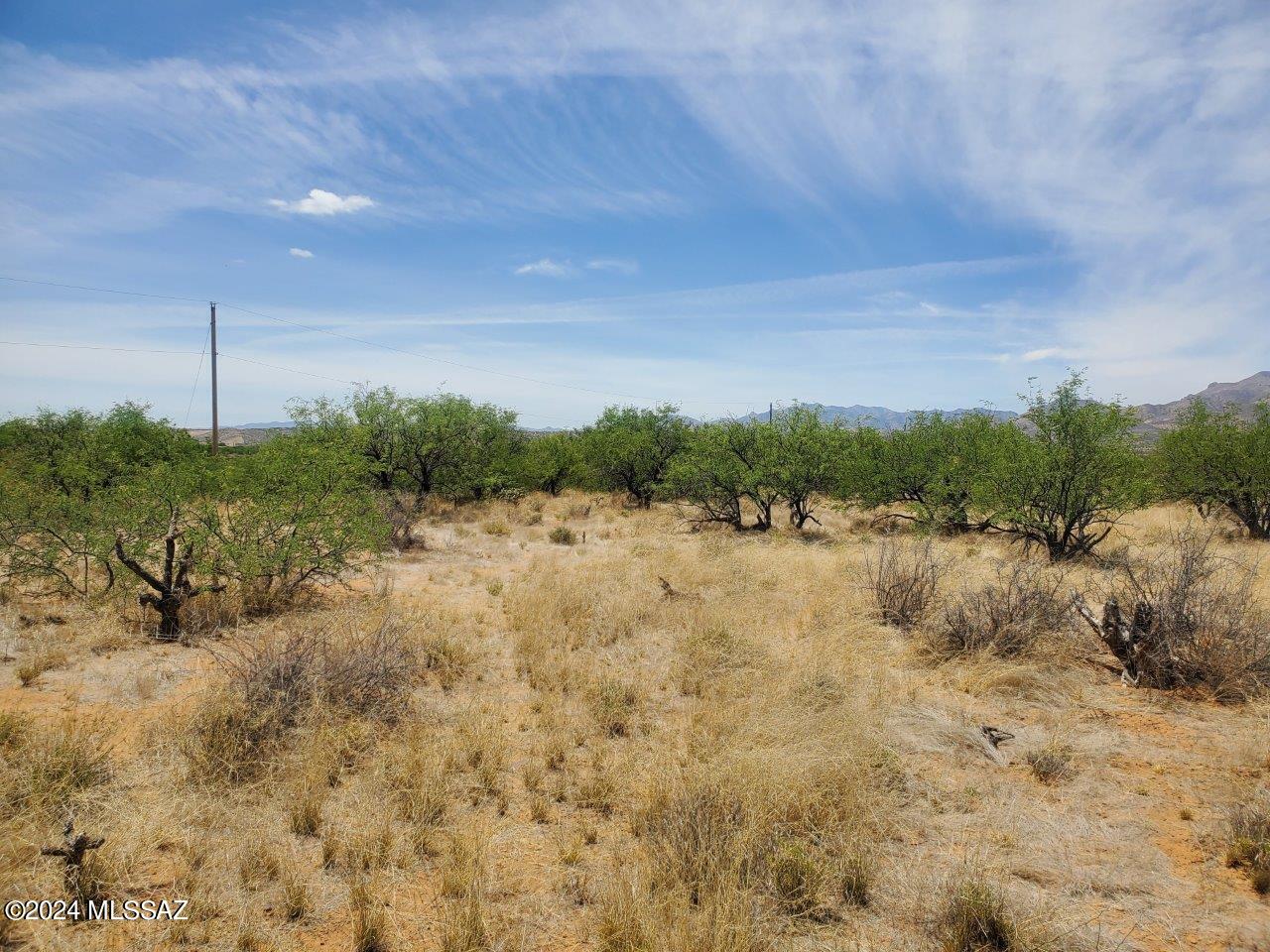 Rio Rico Estates 16 - Land