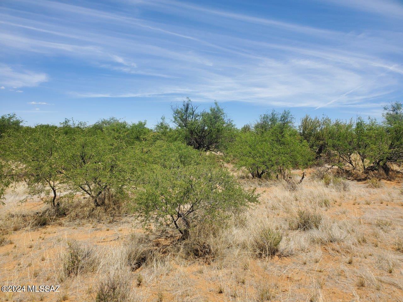 Rio Rico Estates 16 - Land