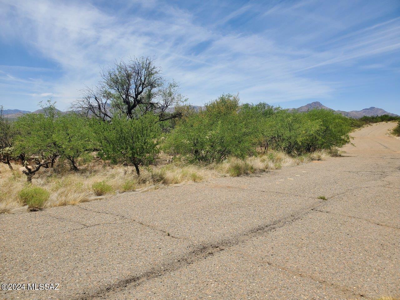 Rio Rico Estates 16 - Land