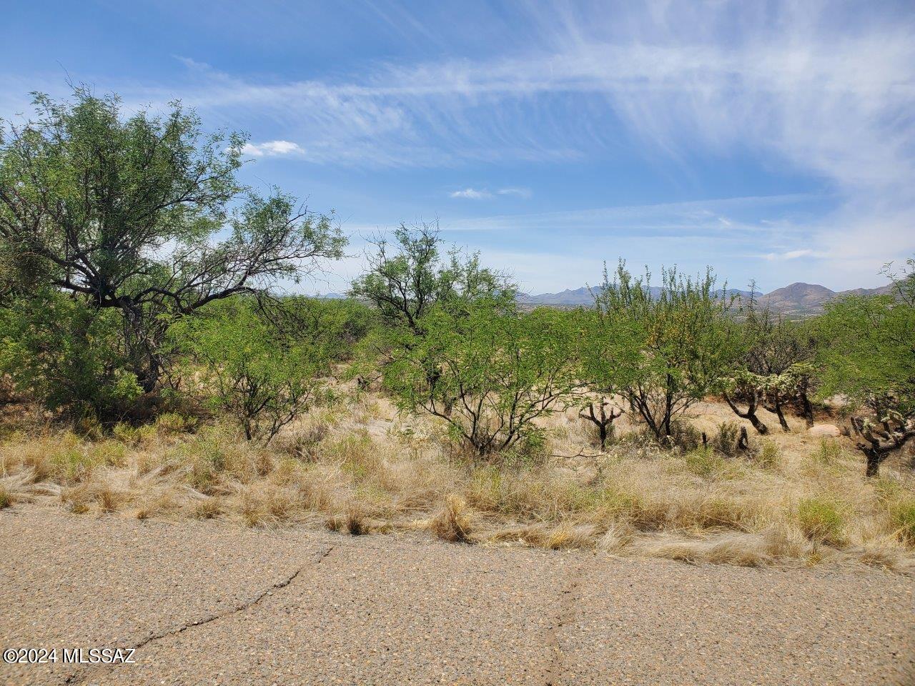 Rio Rico Estates 16 - Land