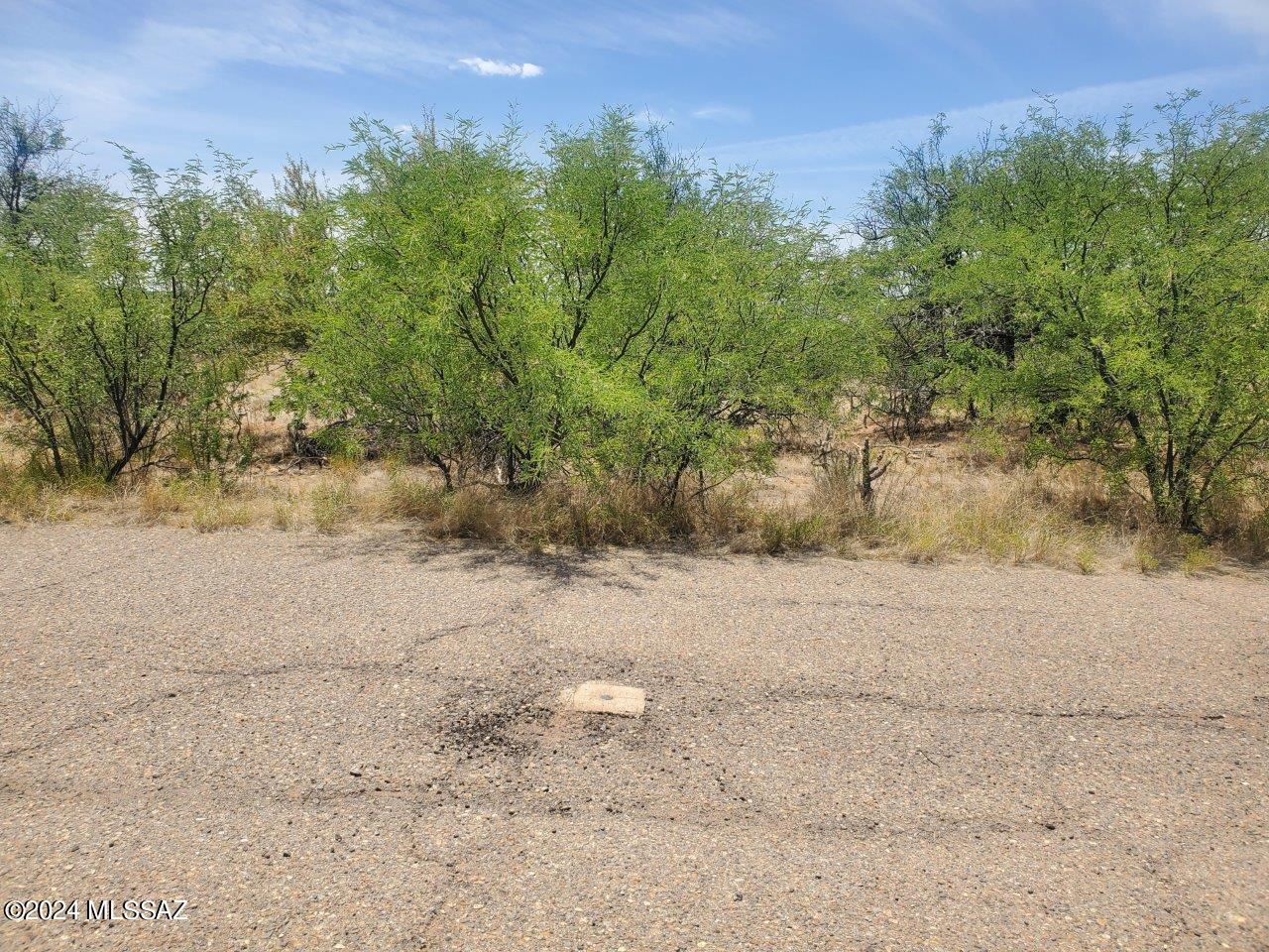Rio Rico Estates 16 - Land
