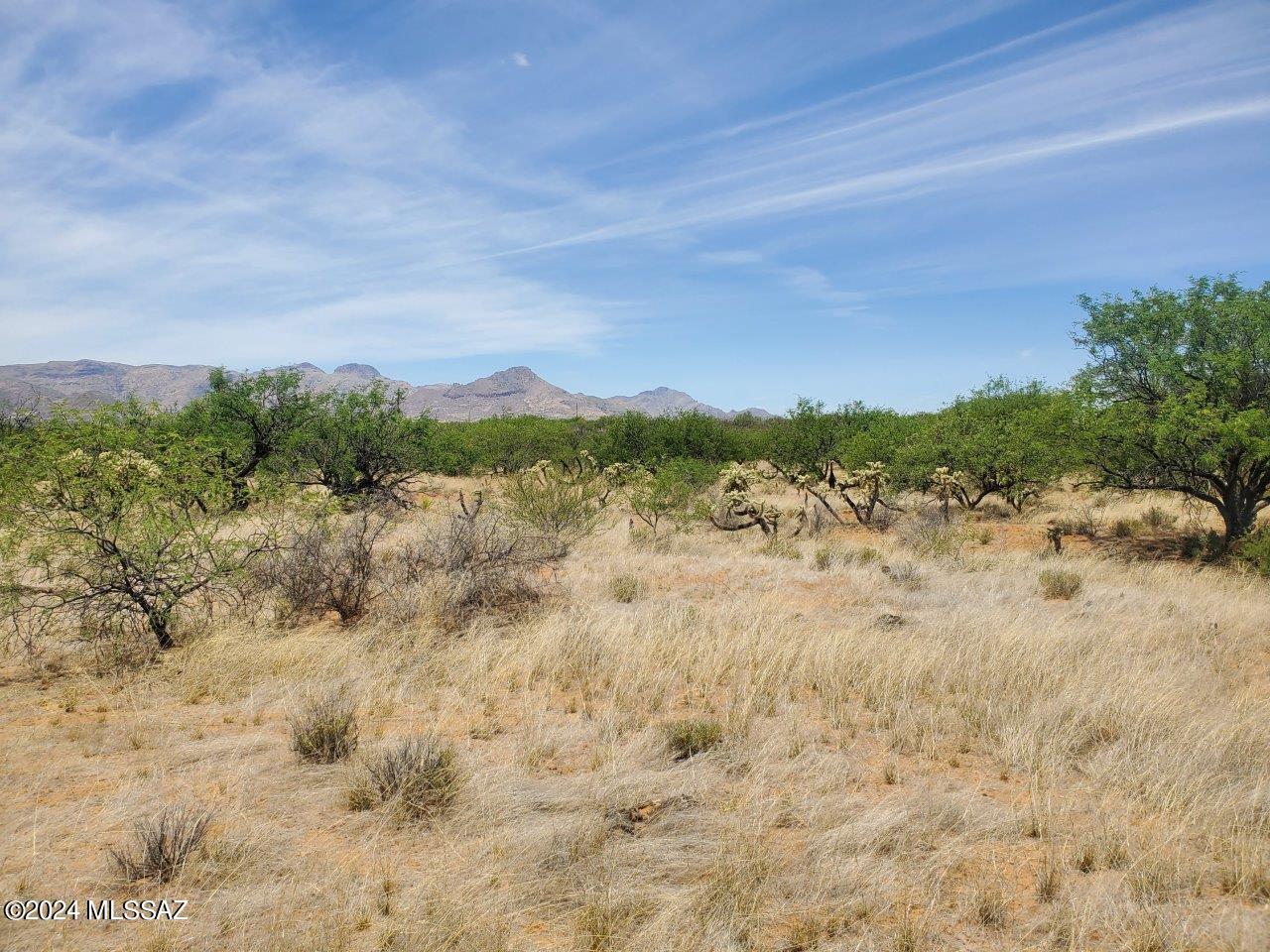 Rio Rico Estates 16 - Land