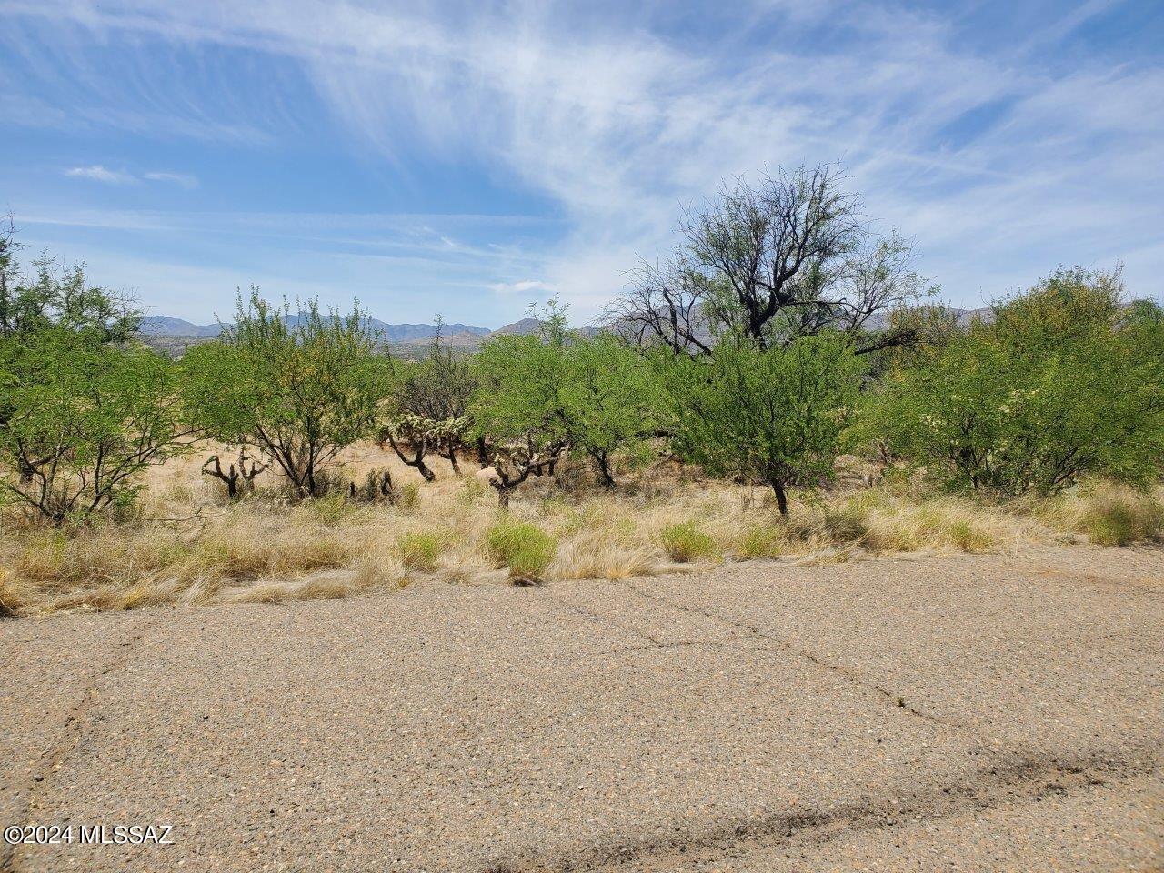 Rio Rico Estates 16 - Land