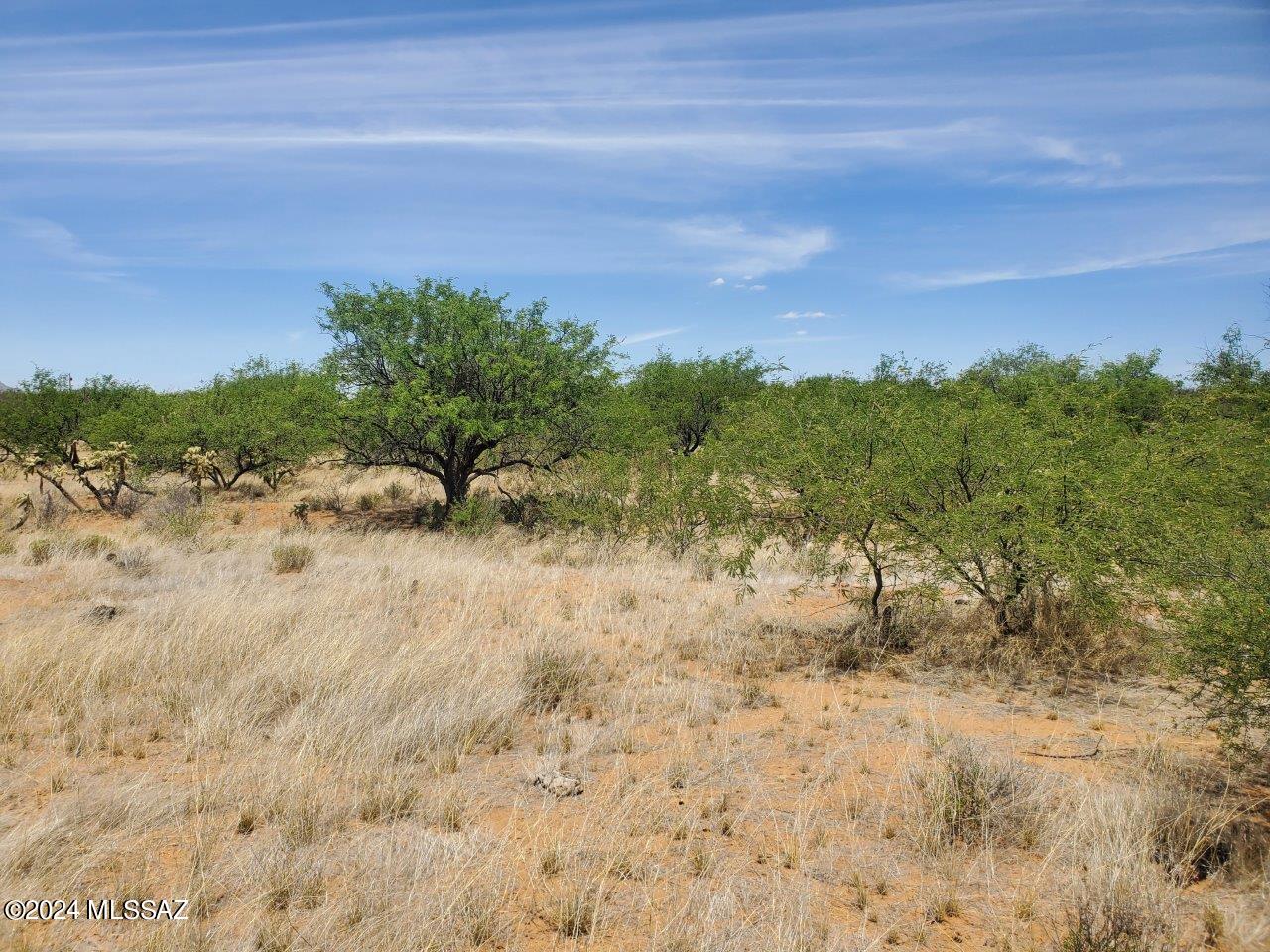 Rio Rico Estates 16 - Land