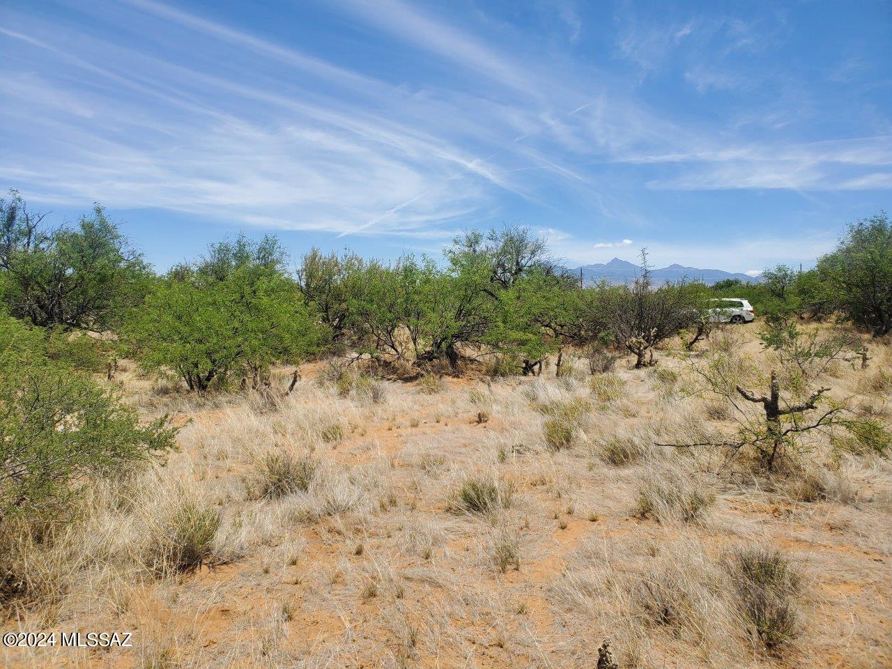 Rio Rico Estates 16 - Land