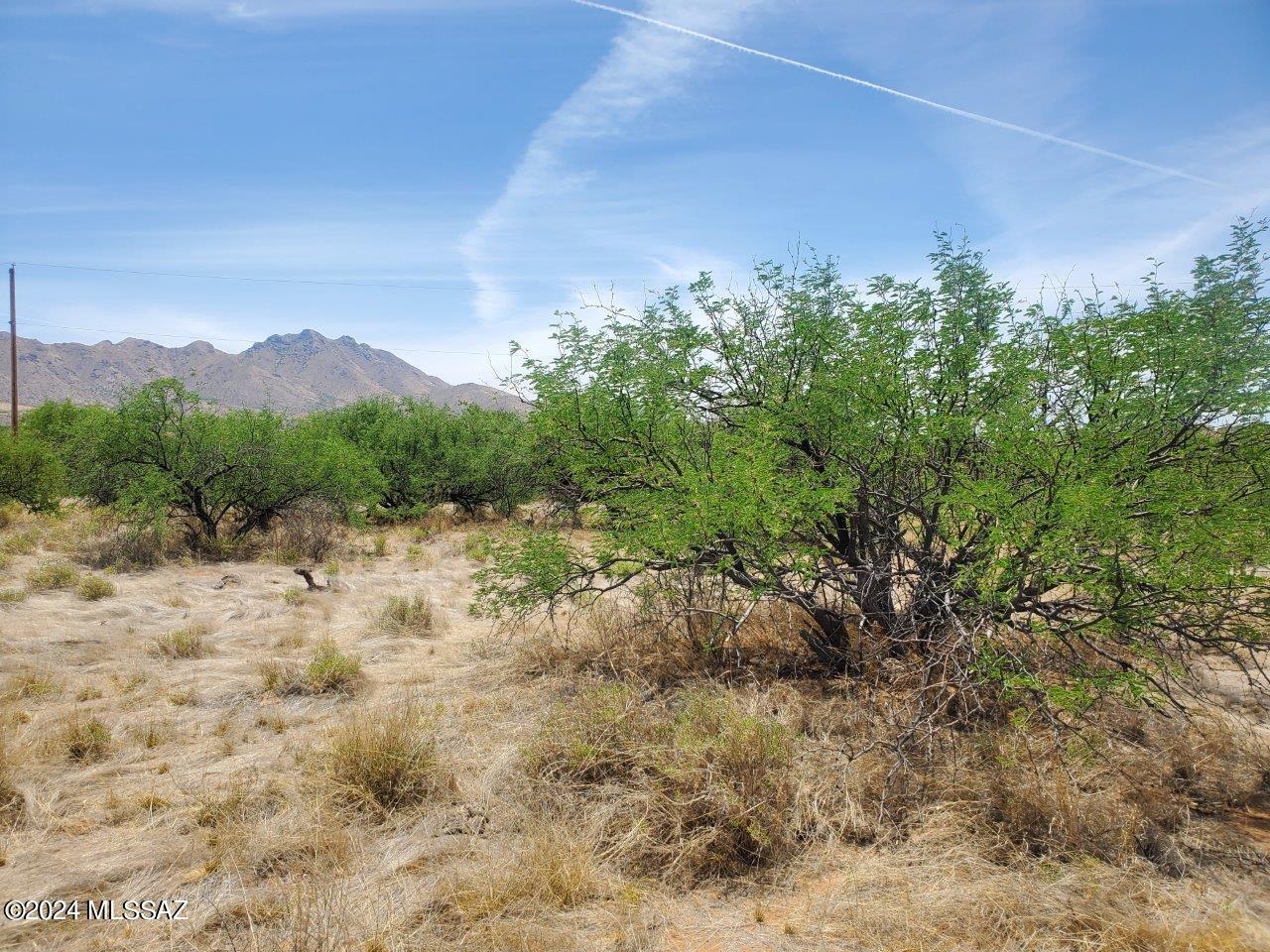 Rio Rico Estates 16 - Land