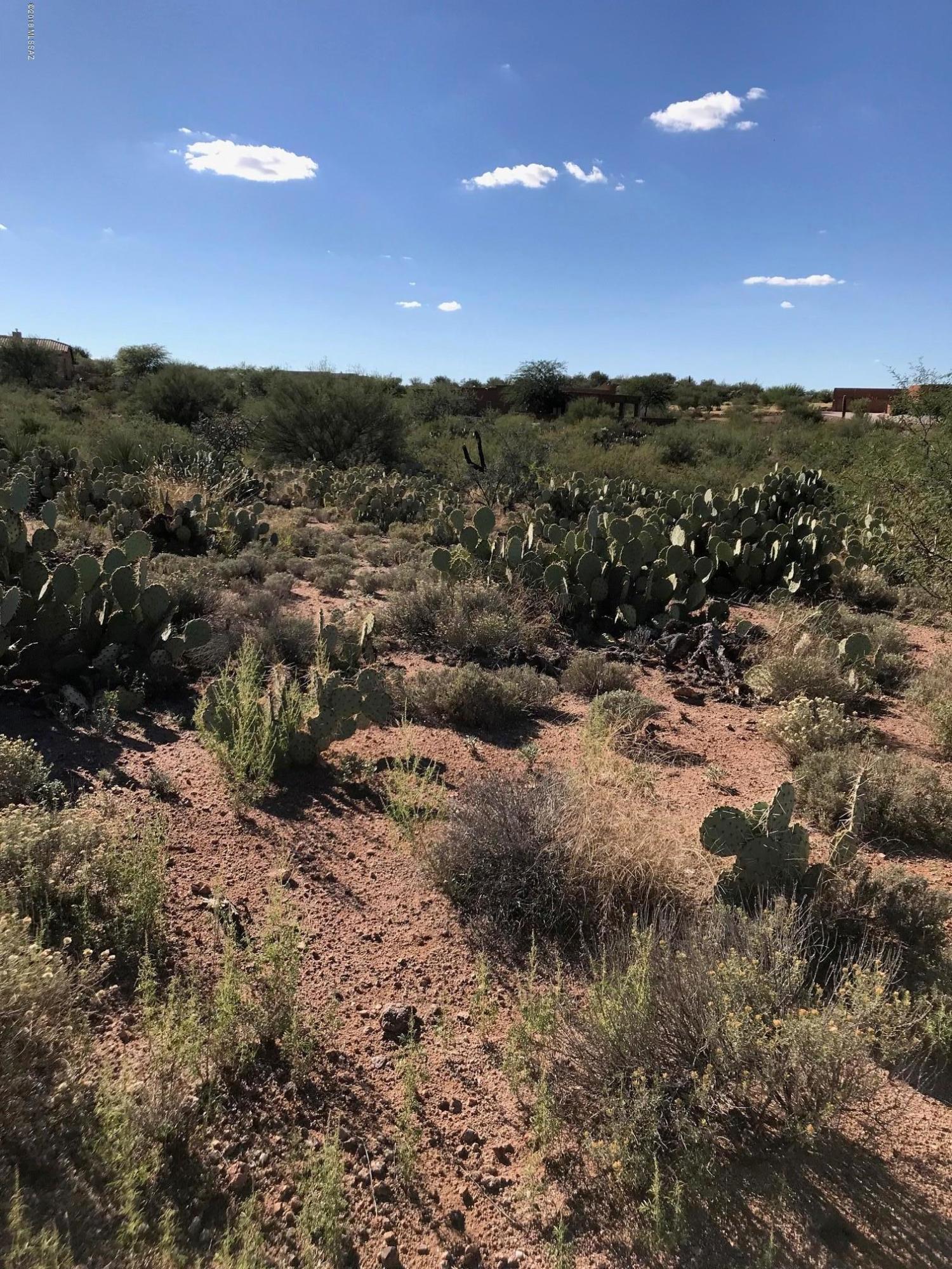 1.69-acre lot home site in a 64 lot subdivision with owner-managed
HOA, low dues and  friendly neighbors.  Ready for your custom home.
Located in the beautiful Rincon Valley surrounded by State Trust
land, peaceful setting, lush vegetation, 3,300 feet elevation.
35 minutes to major employers and Tucson International Airport.
Easy access to I-10.
