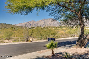 Shadows @ Sabino (1-103) - Residential
