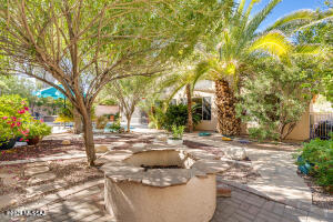 Shadows @ Sabino (1-103) - Residential