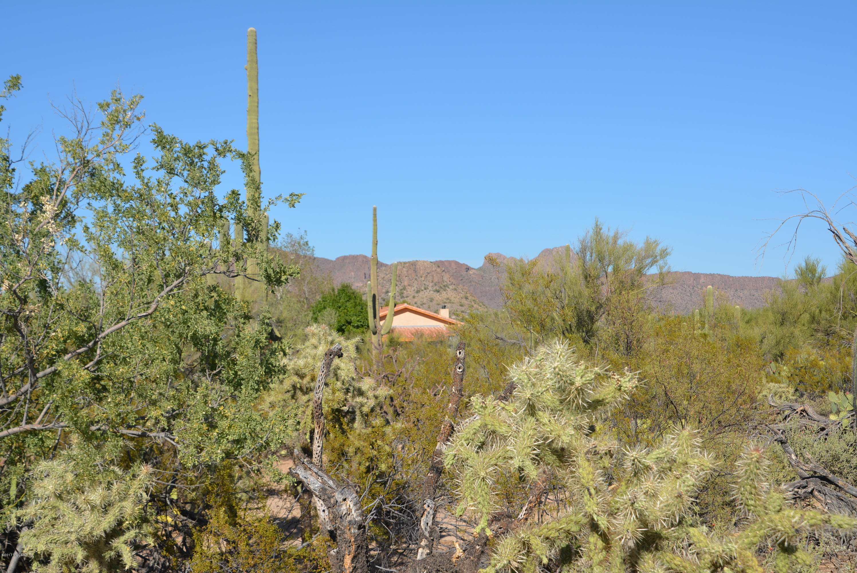 Secluded desert retreat with utilities nestled amongst giant Saguaro cactus with panoramic views. Easy to build lot allows for site built or manufactured housing. Quiet country setting perfect for nature lovers or those wanting to be away from the city yet close enough for easy commute. Builder services available.