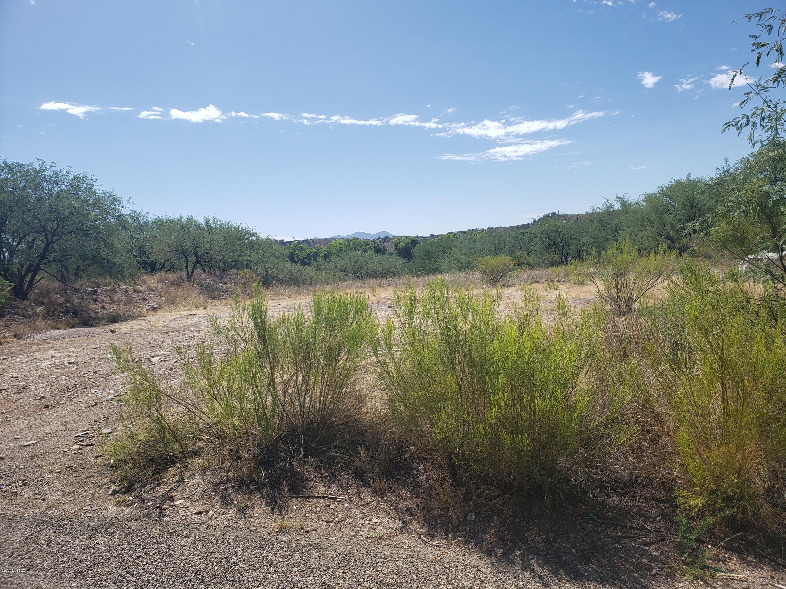 Rio Rico Unit 3 - Land