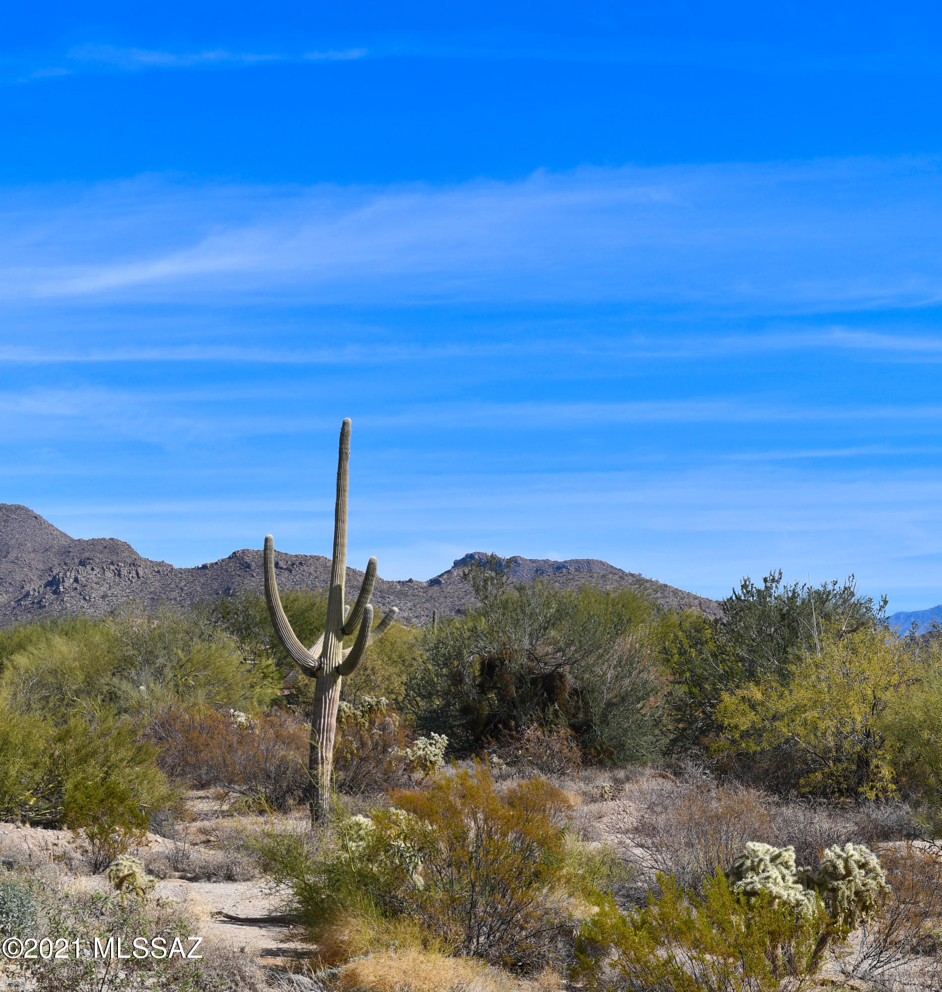 Del Webb At Dove Mountain SQ20131930189 - Residential