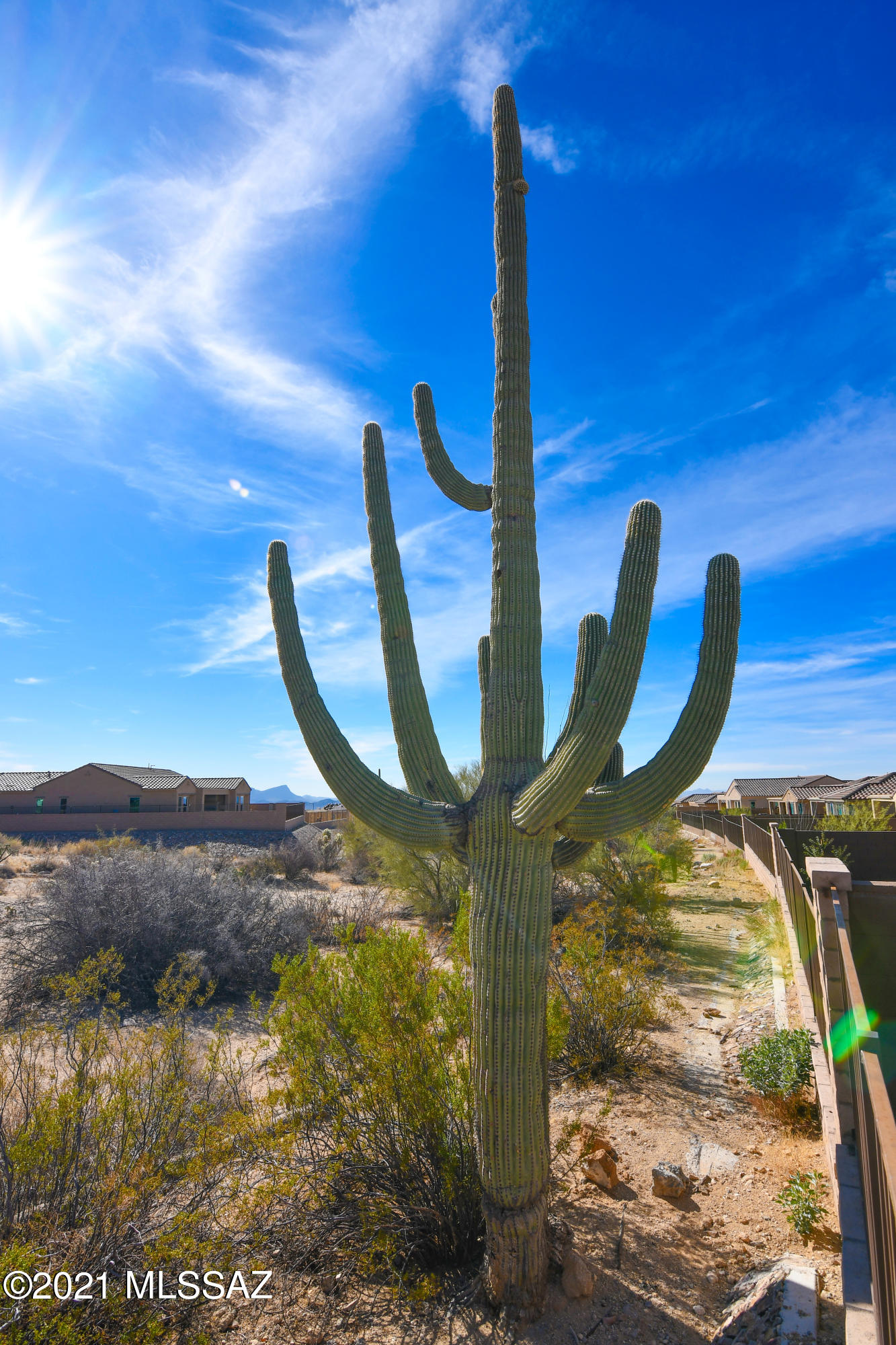 Del Webb At Dove Mountain SQ20131930189 - Residential