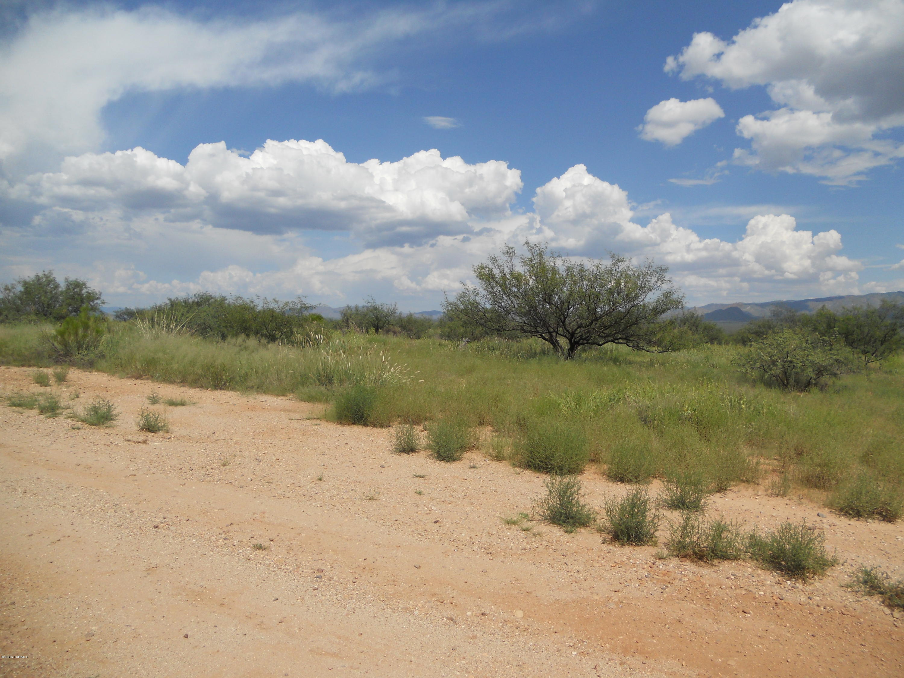 Here it is! Mountian Views galore on this lot complete with vegetation.  Panoramic views of the sunrise and sunset. Power and water to the property line. The lot is level with numerous spots for your site built or manufactured home. Plenty of room for animal also.