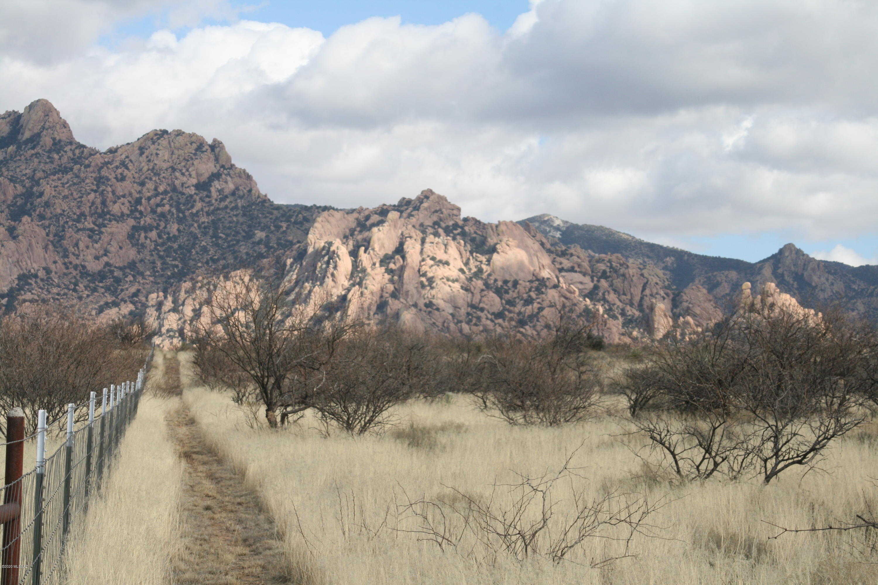 Dragoon Mountain Ranch - Land