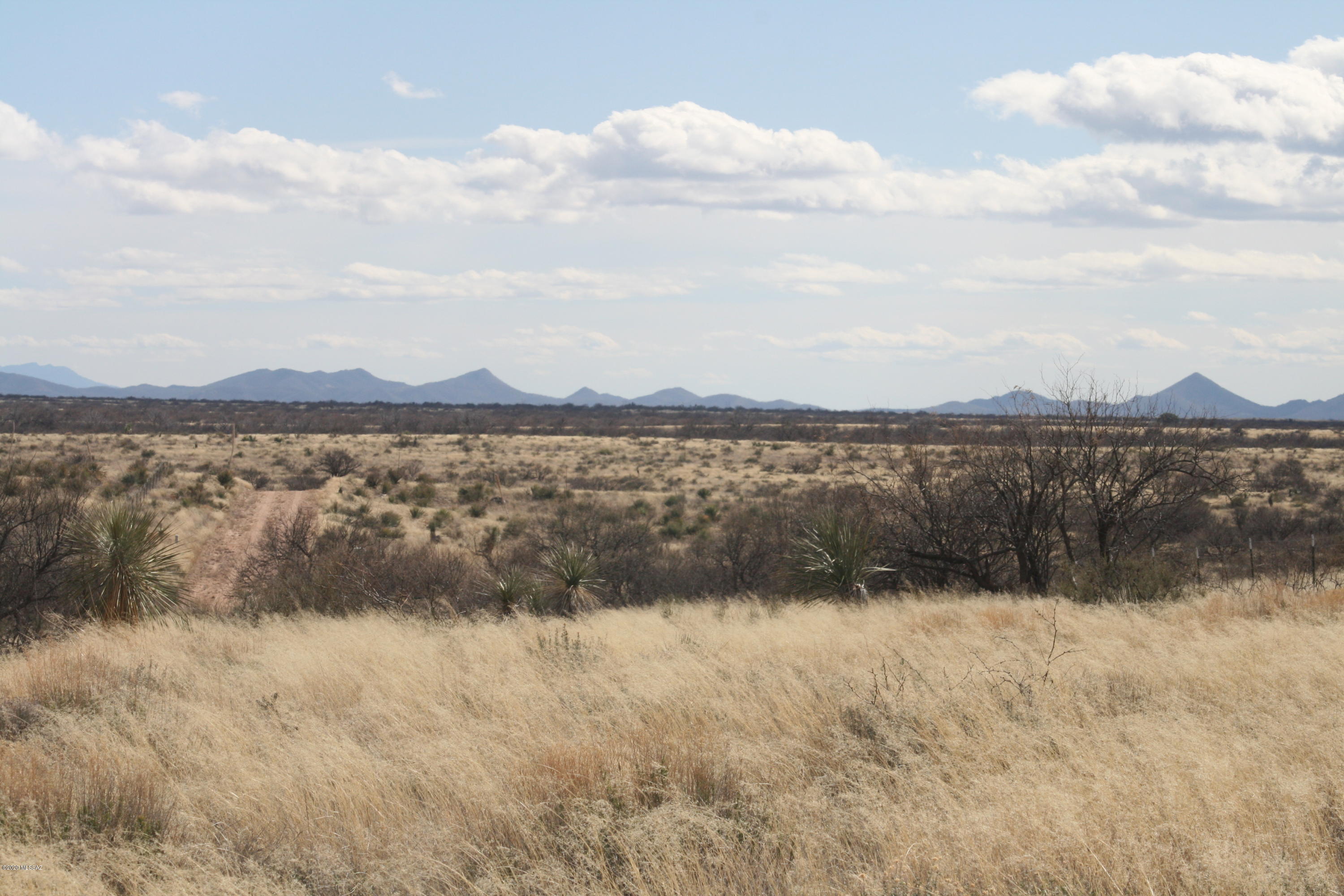 Dragoon Mountain Ranch - Land