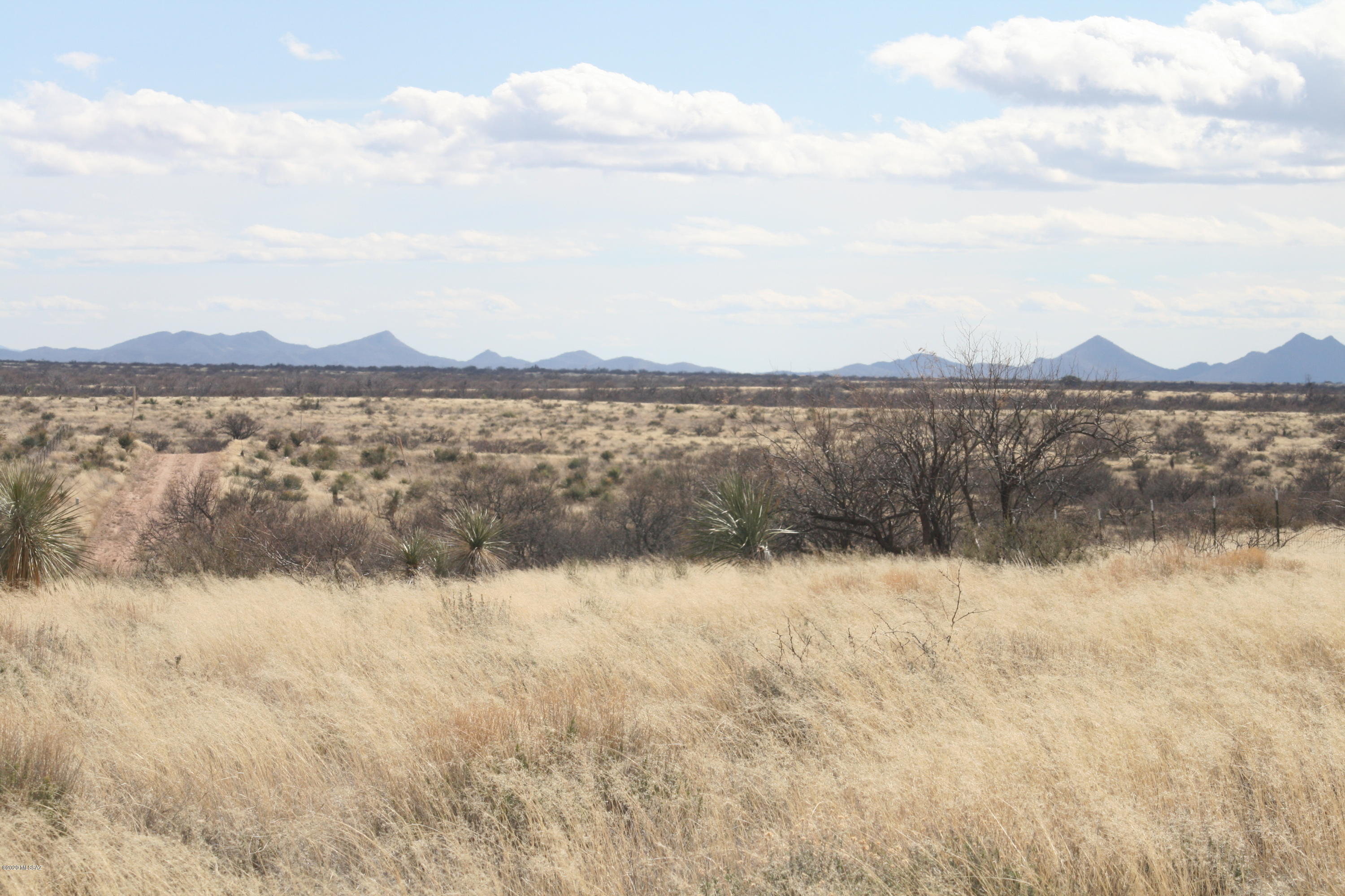 Dragoon Mountain Ranch - Land