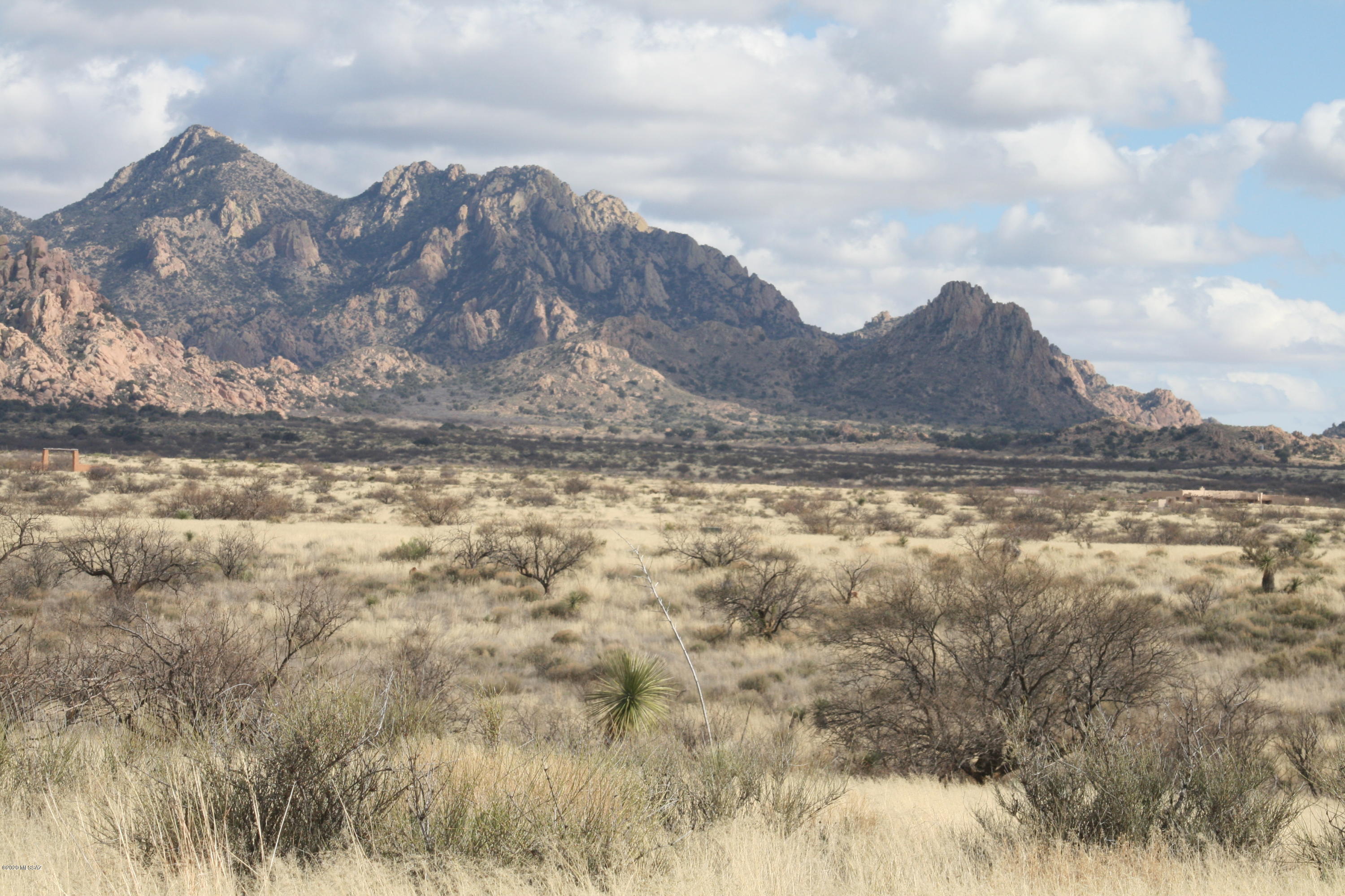 Dragoon Mountain Ranch - Land