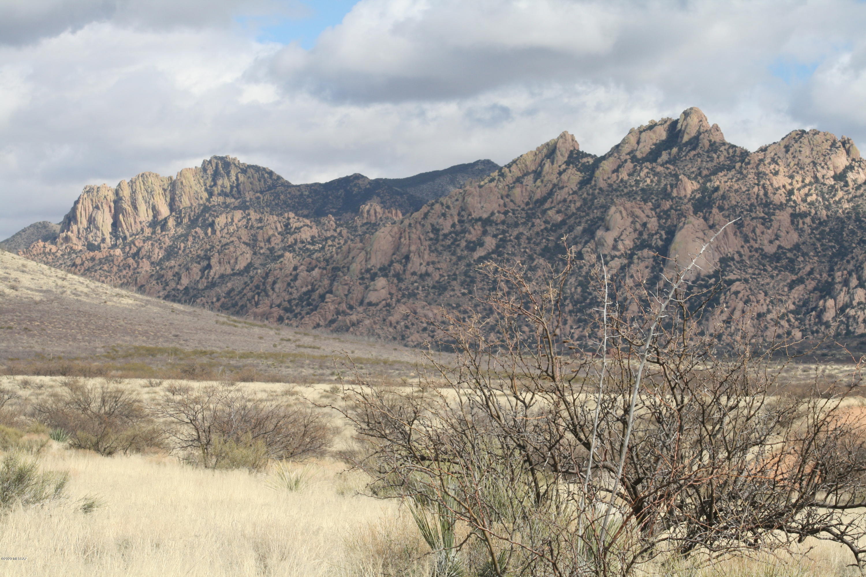Dragoon Mountain Ranch - Land