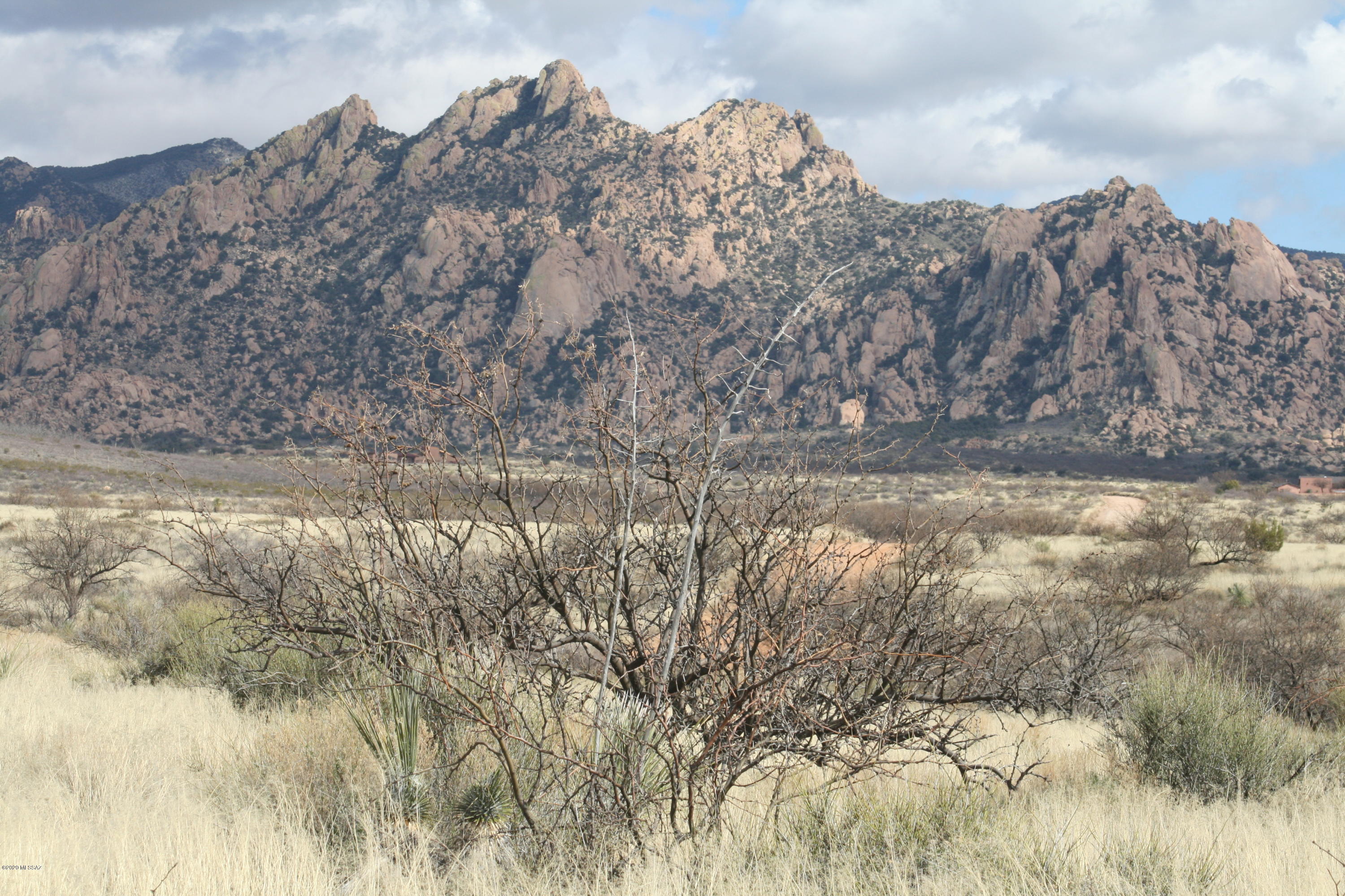 Dragoon Mountain Ranch - Land