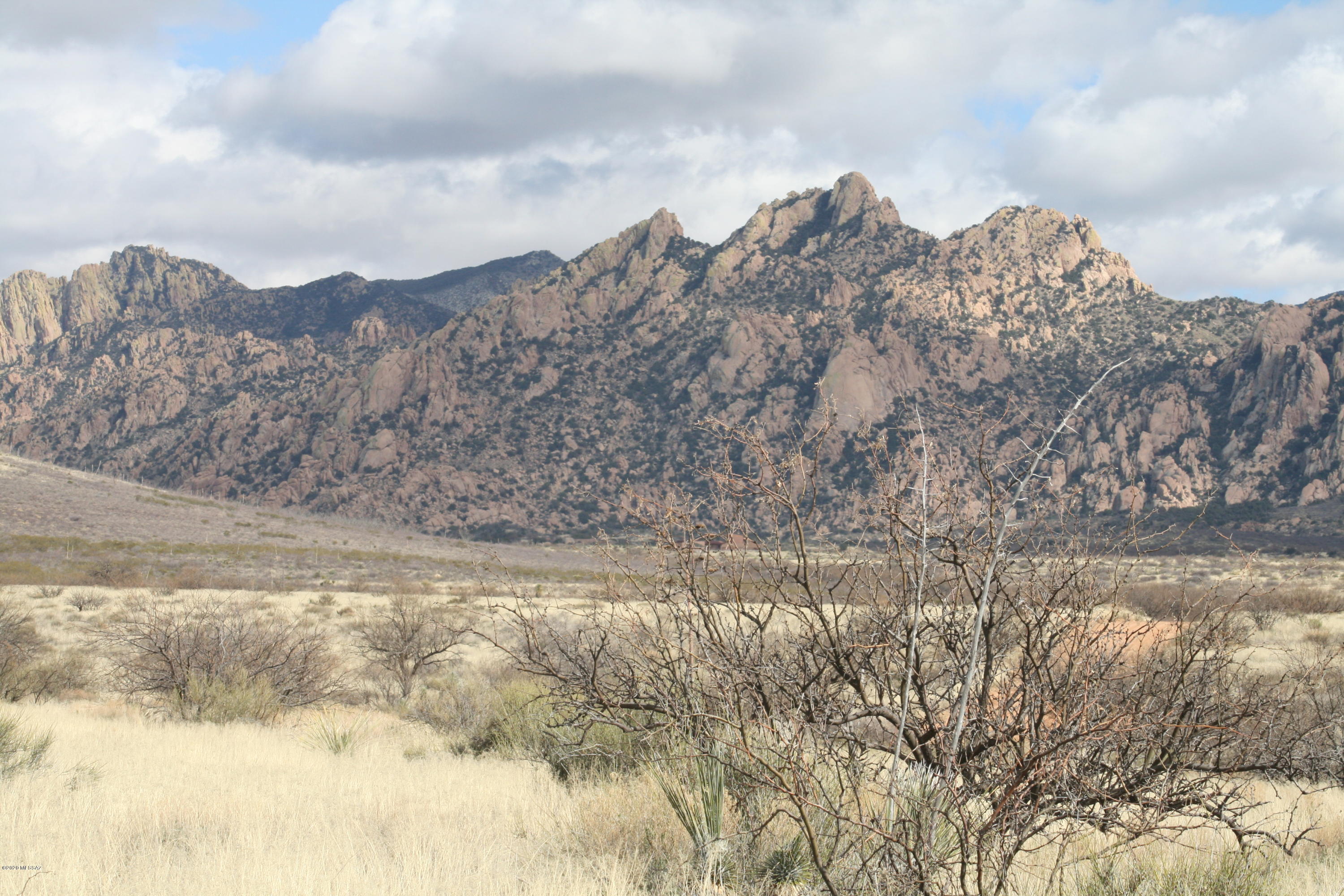 Dragoon Mountain Ranch - Land