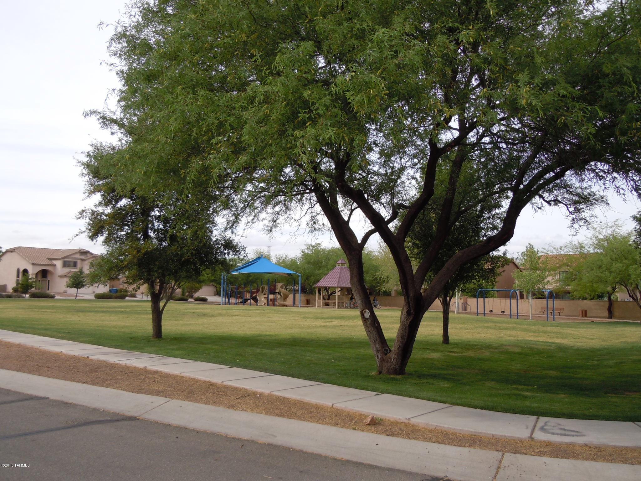 Rancho Sahuarita Presidio De Arboles (1-145) - Residential