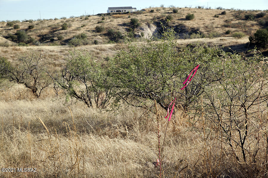 Rio Rico Ranchettes 14 - Land