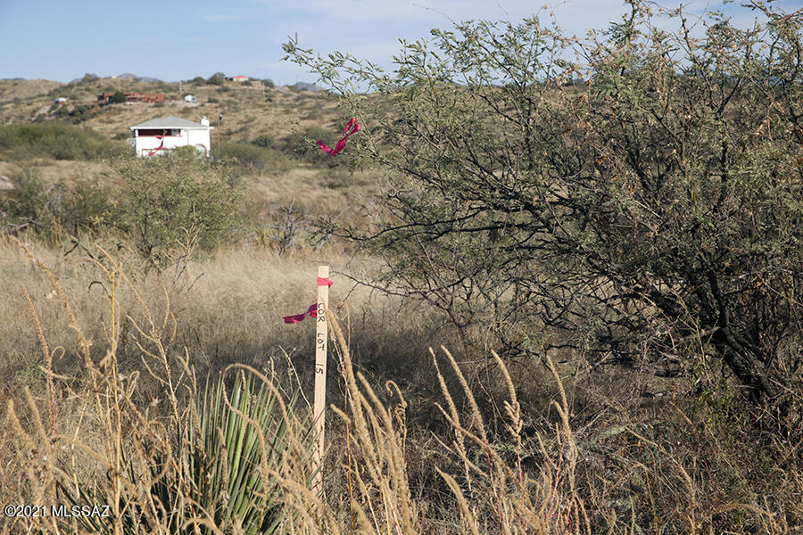 Rio Rico Ranchettes 14 - Land