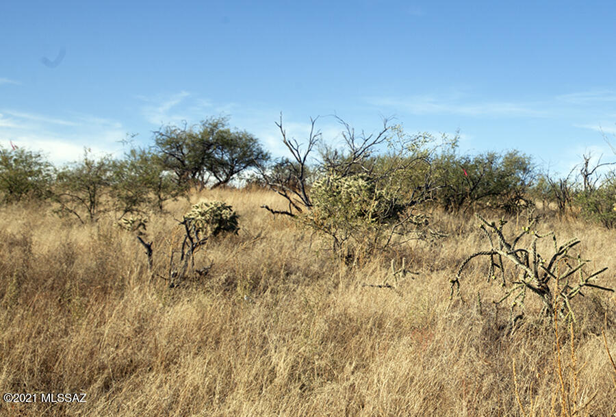 Rio Rico Ranchettes 14 - Land