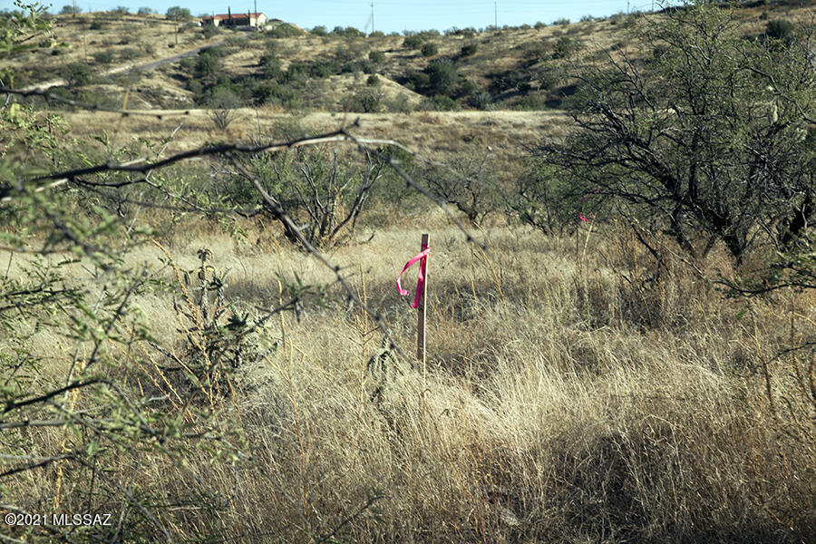 Rio Rico Ranchettes 14 - Land