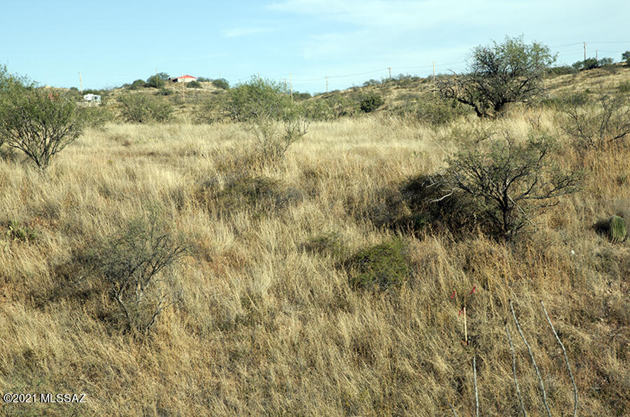 Rio Rico Ranchettes 14 - Land