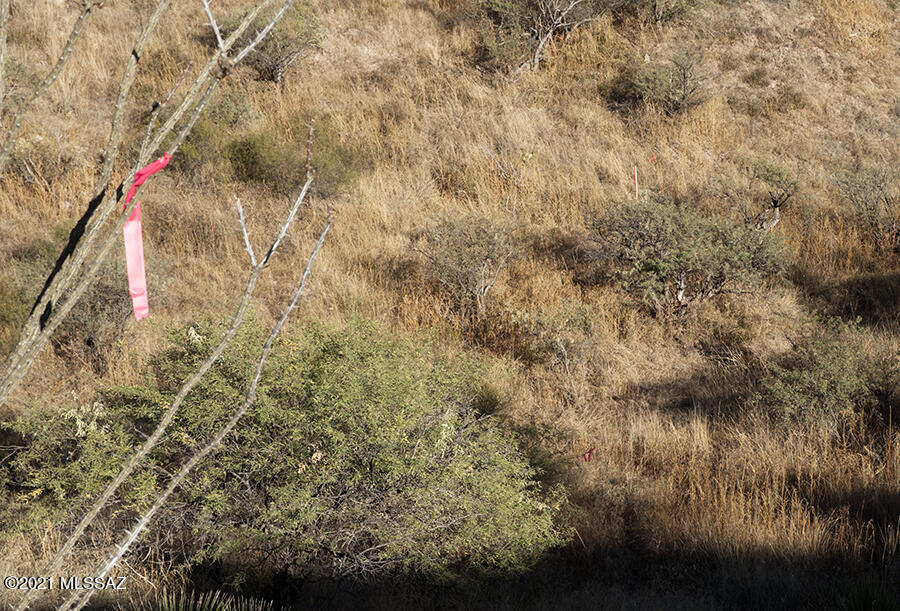 Rio Rico Ranchettes 14 - Land