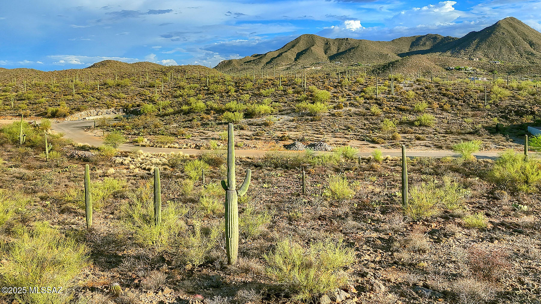 Enclave at Gates Pass - Land