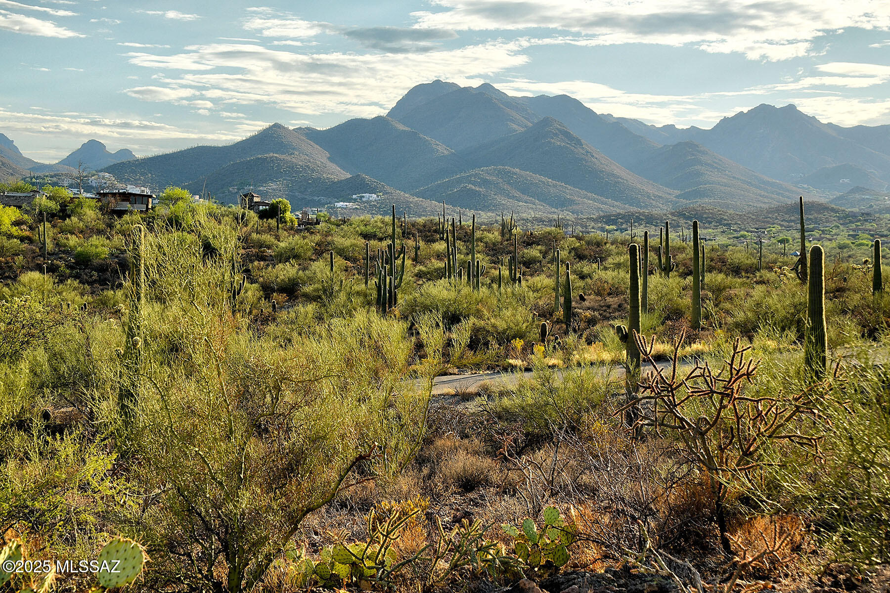 Enclave at Gates Pass - Land