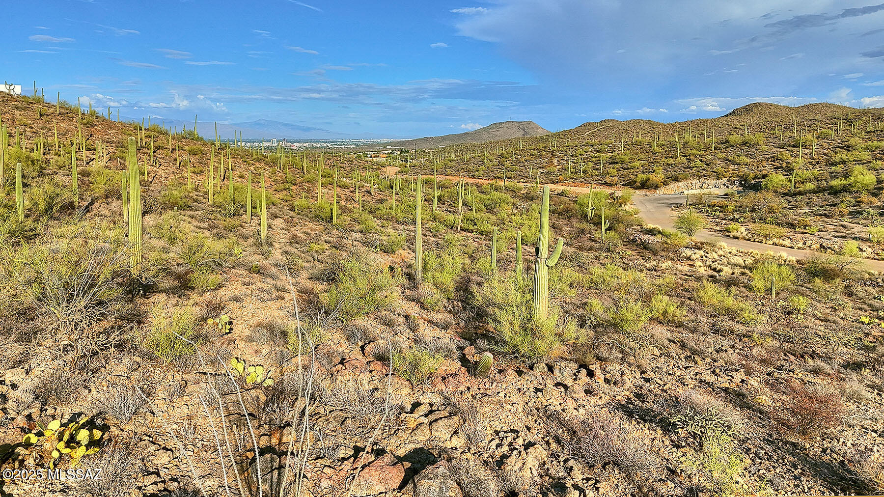 Enclave at Gates Pass - Land