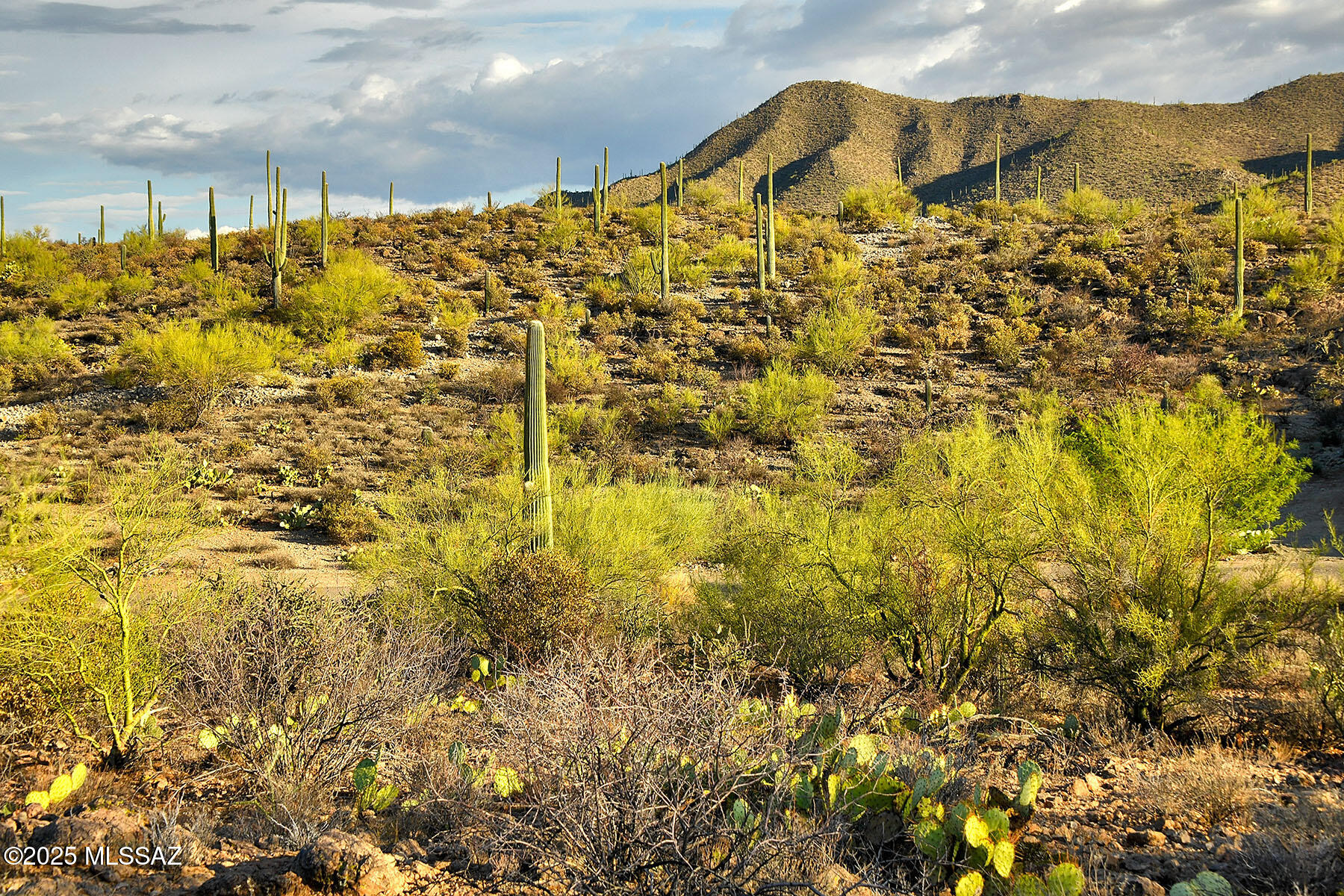 Enclave at Gates Pass - Land