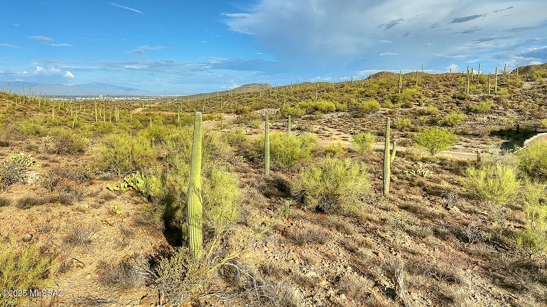 Enclave at Gates Pass - Land