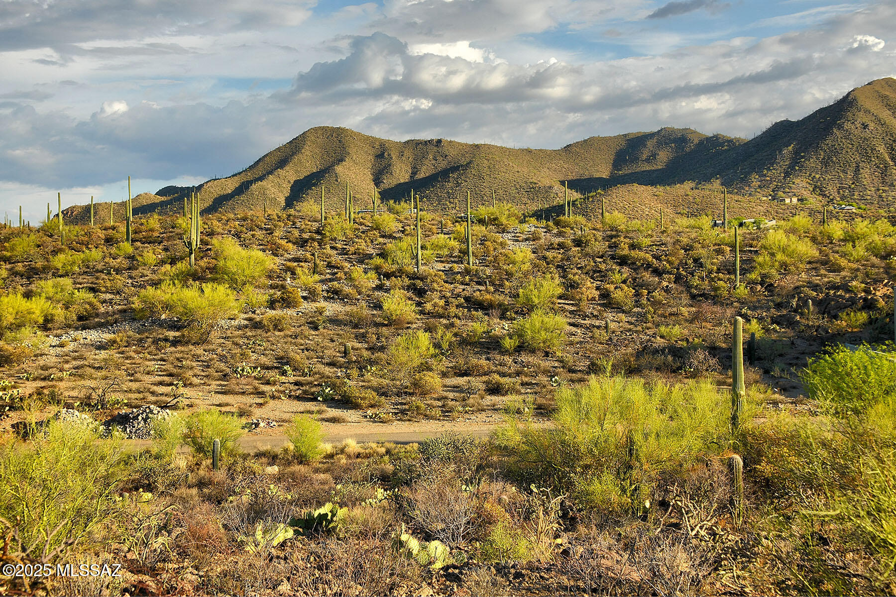 Enclave at Gates Pass - Land