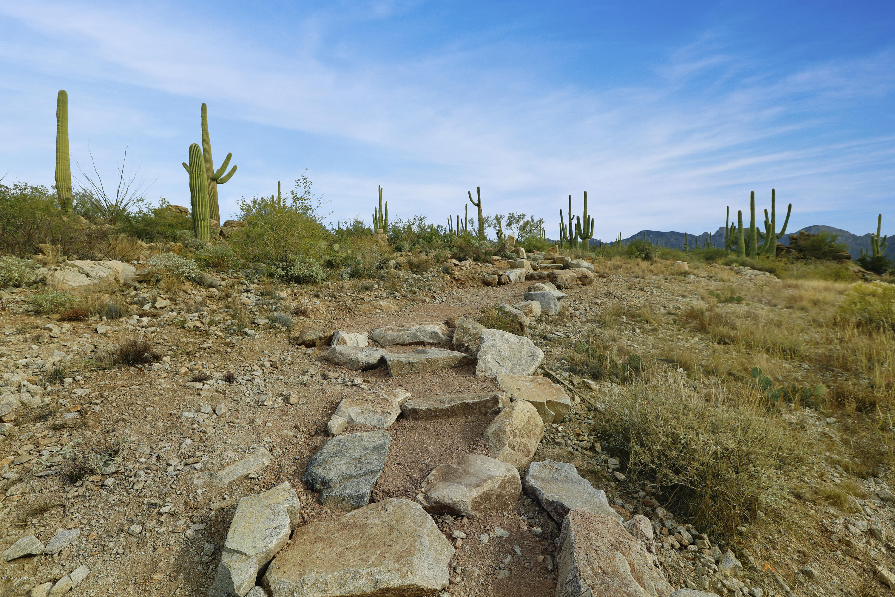 Stone Canyon VII (404-485) - Land