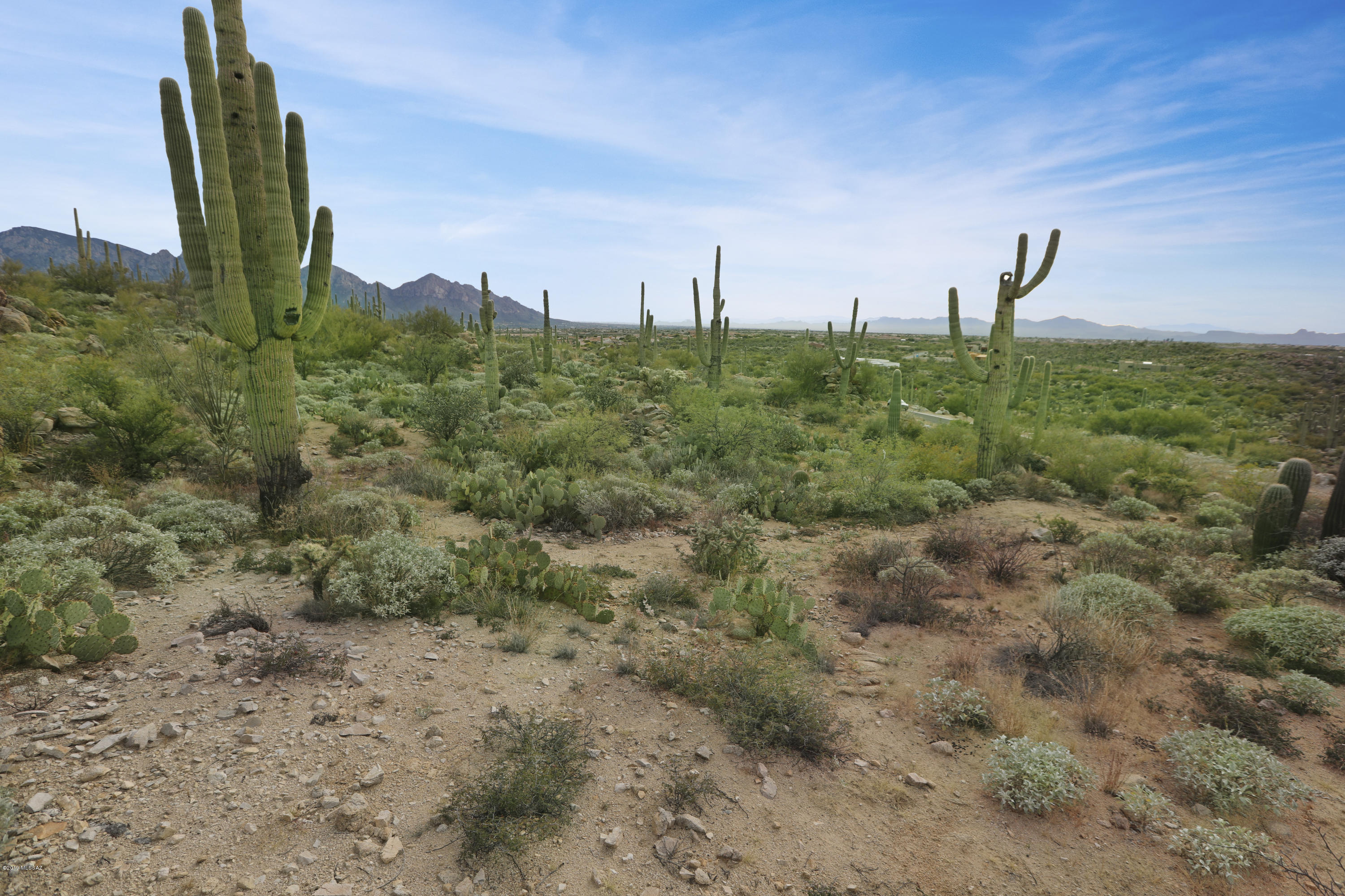 Stone Canyon VII (404-485) - Land