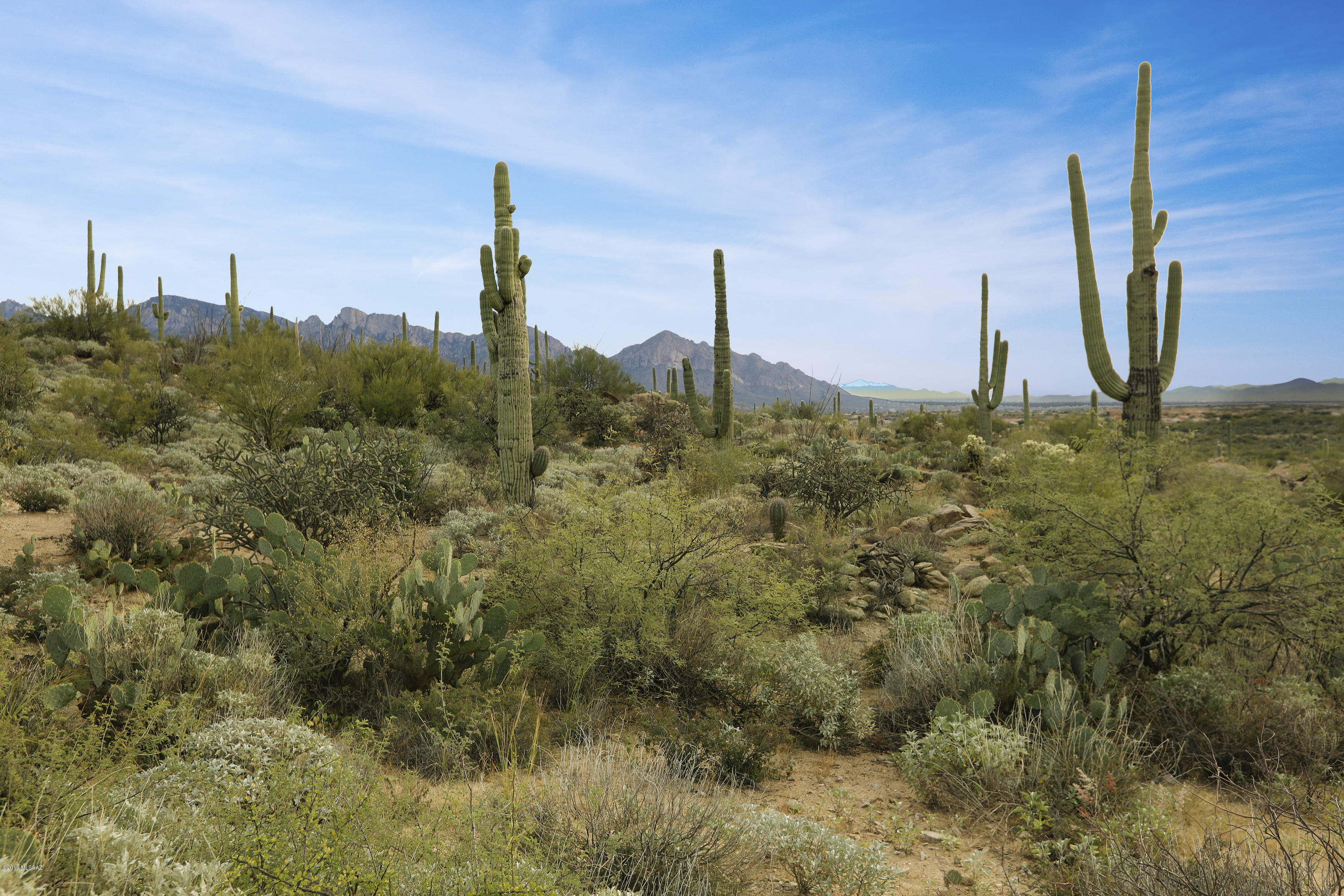 Stone Canyon VII (404-485) - Land