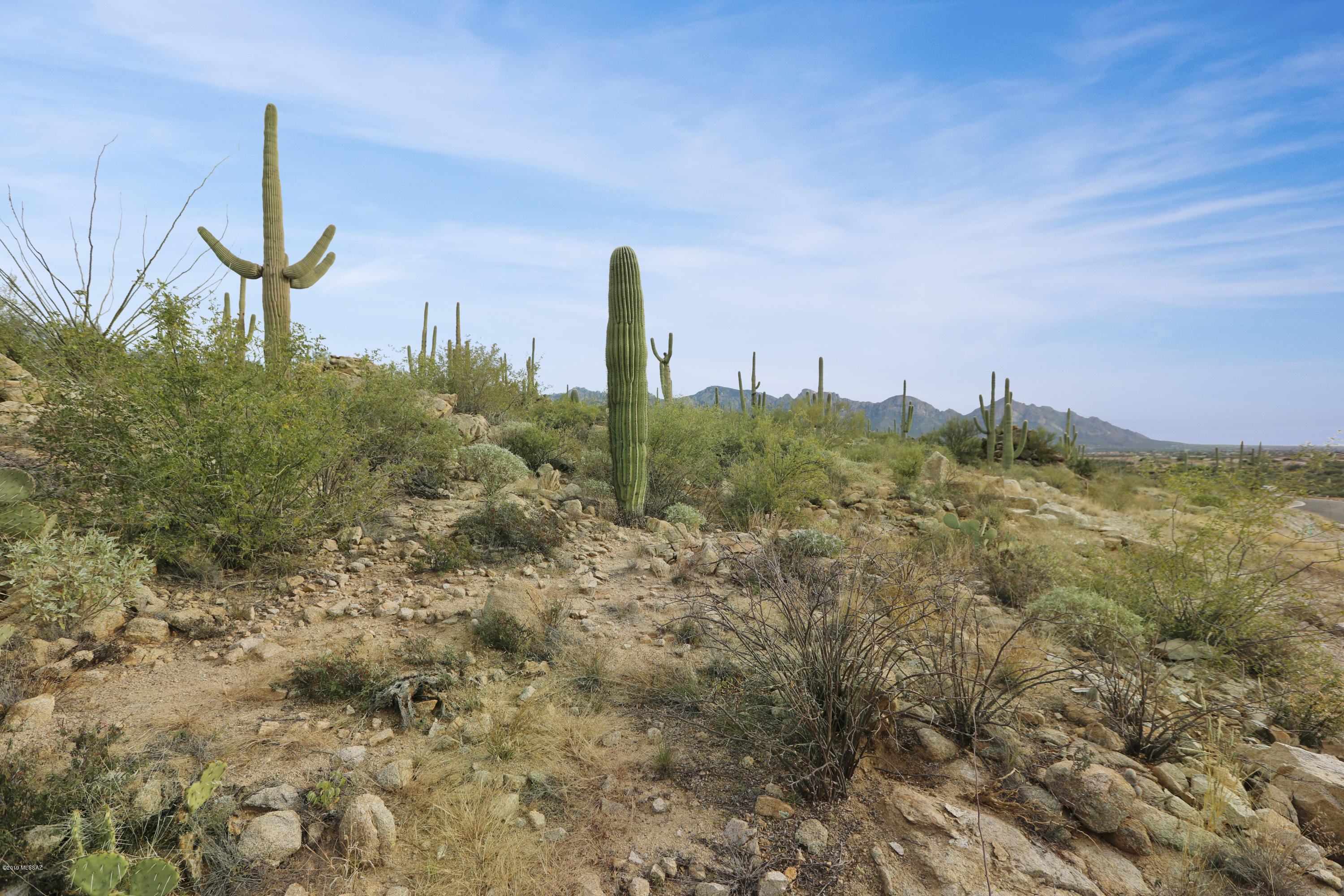 Stone Canyon VII (404-485) - Land