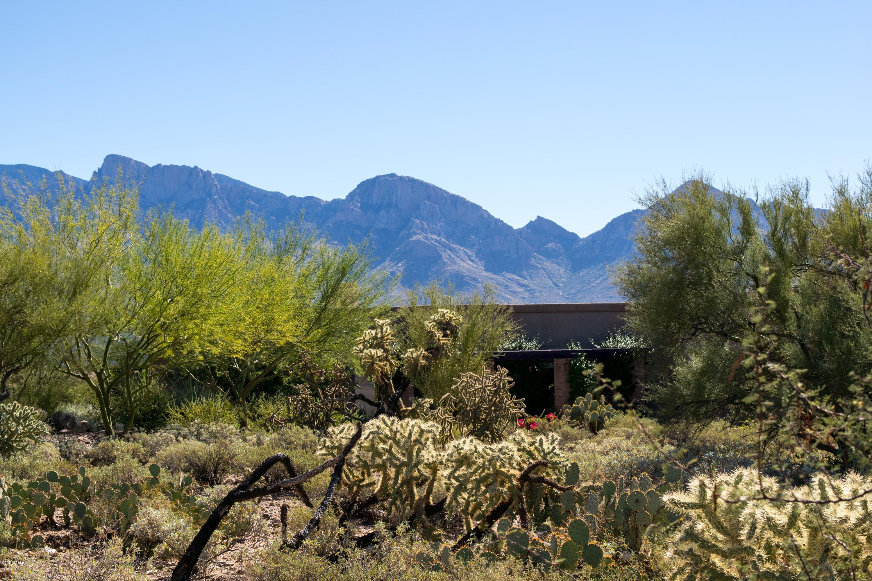 Rancho Vistoso Ngh 7 PCL A Vistoso Point - Land