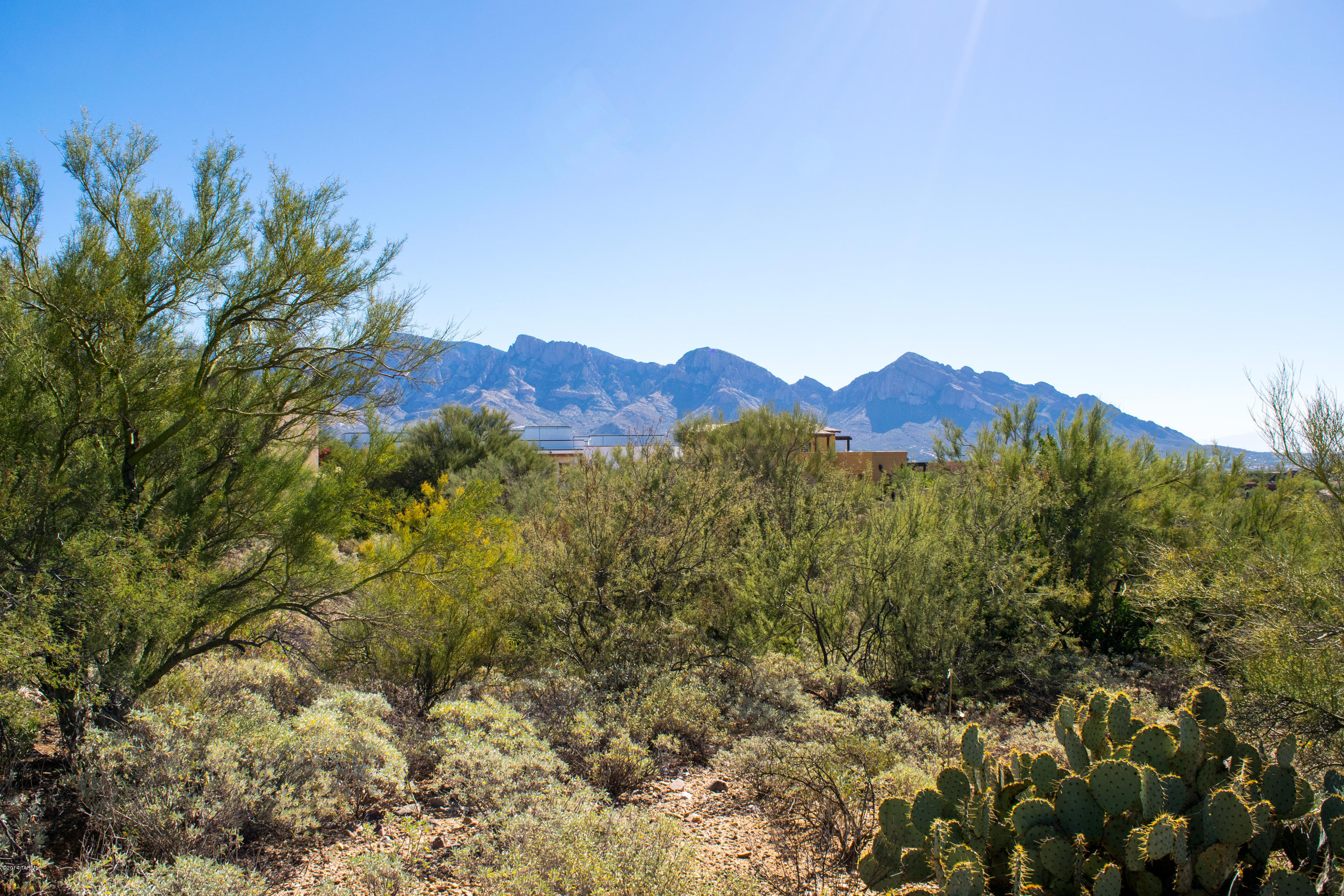 Rancho Vistoso Ngh 7 PCL A Vistoso Point - Land